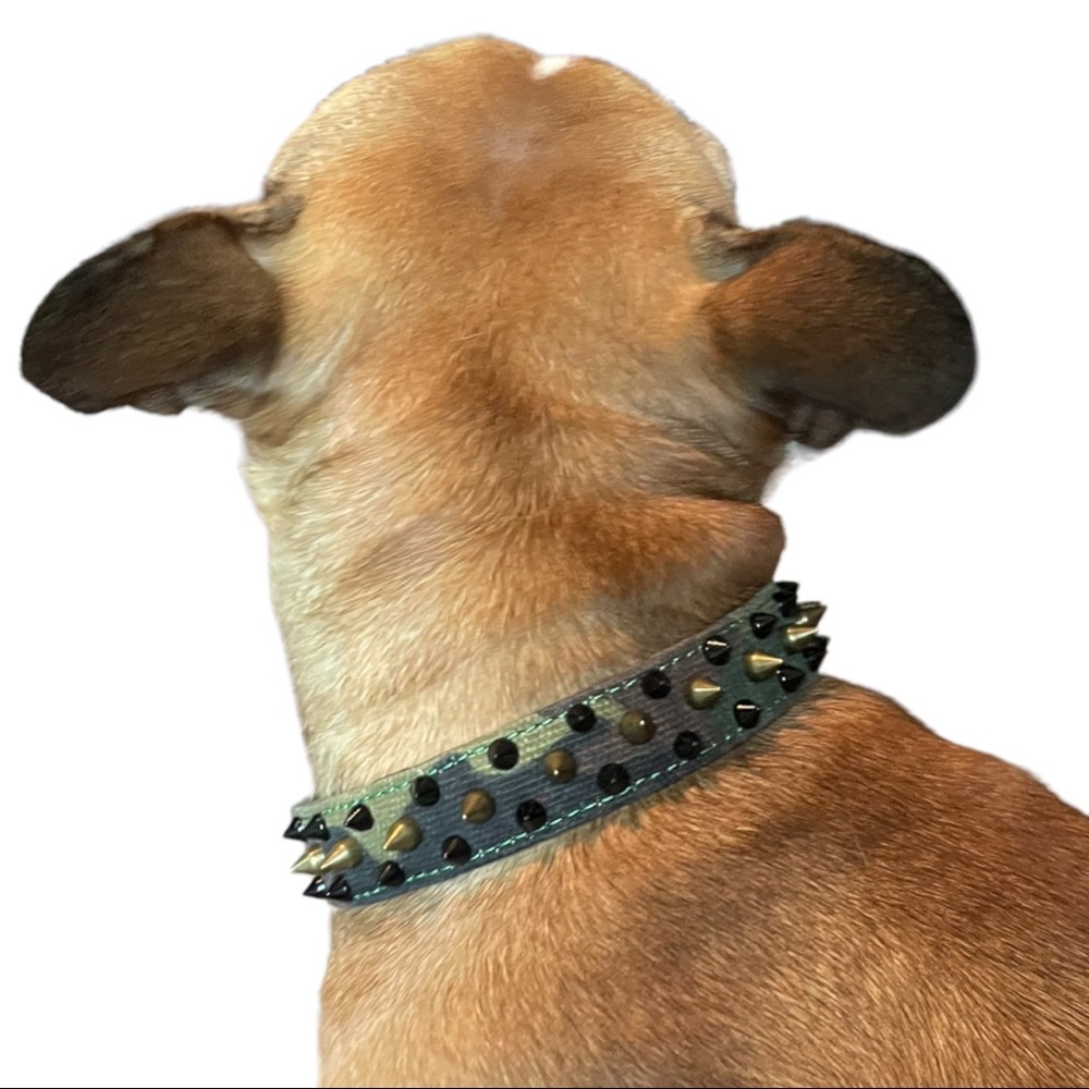 In Command collar in nylon